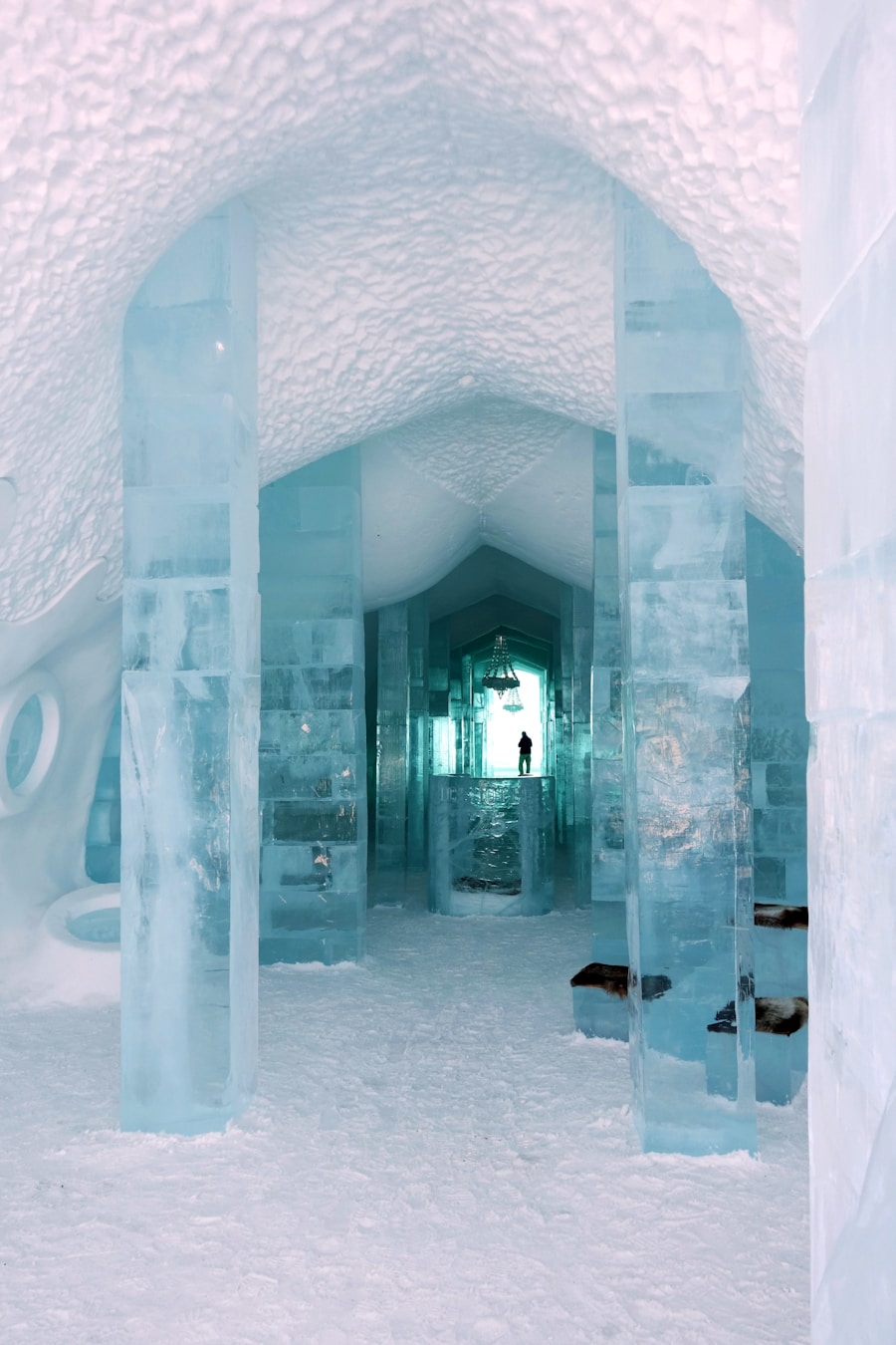 Photo cryochamber