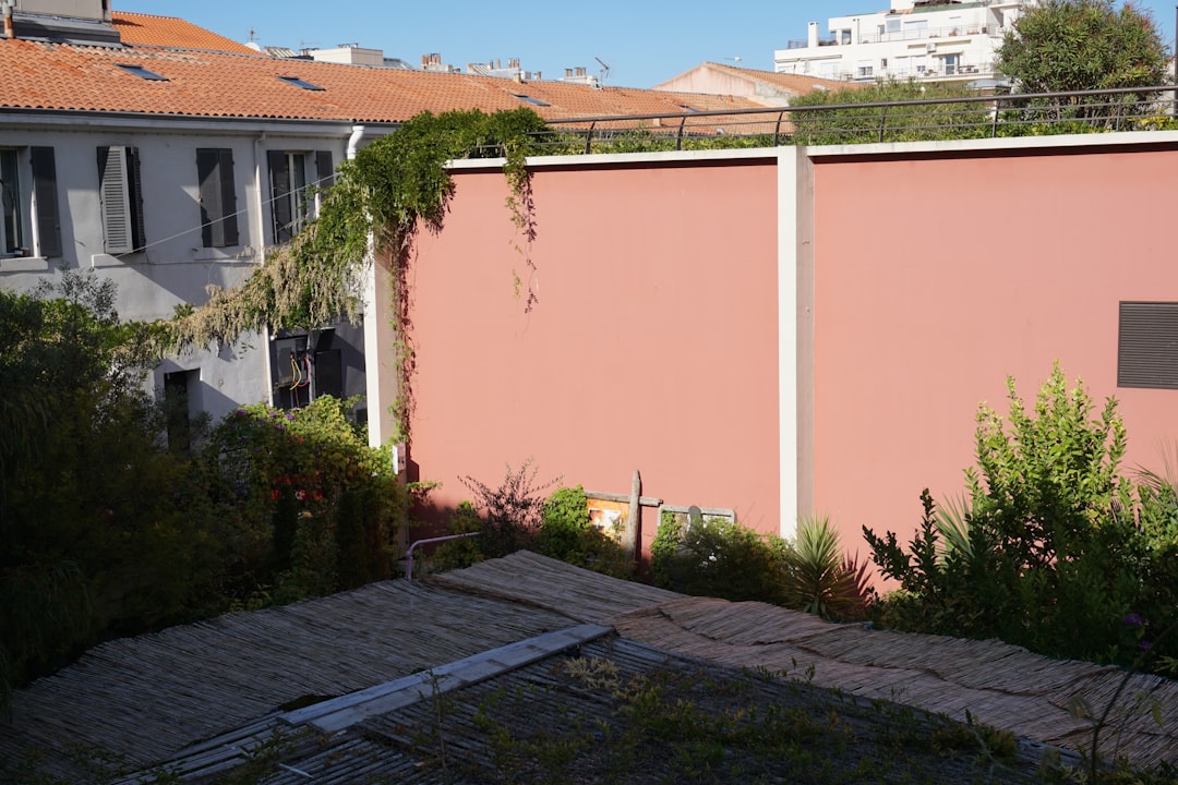 Photo balcony garden