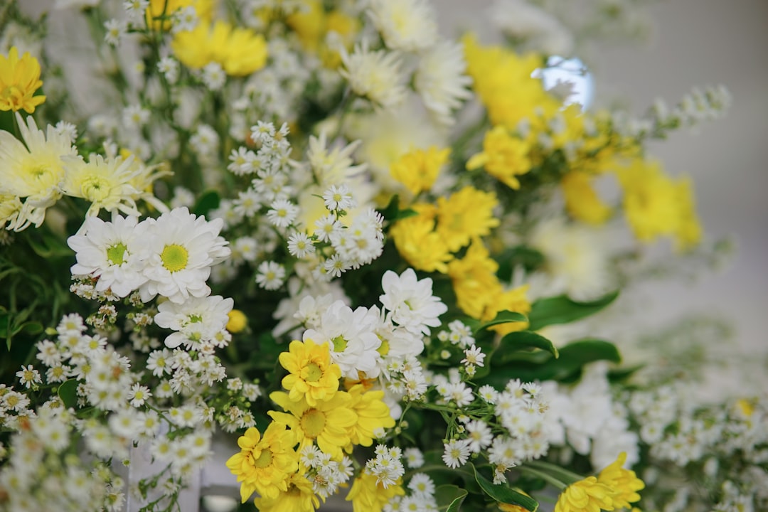 Photo air-purifying flowers